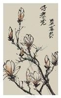Mandarin Magnolia I Fine Art Print