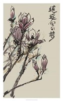 Mandarin Magnolia II Framed Print