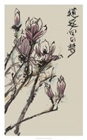 Mandarin Magnolia II Fine Art Print