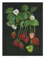 Strawberry Fields II Fine Art Print