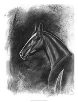 Charcoal Equestrian Portrait II Framed Print