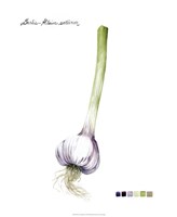 Root Vegetable I Framed Print