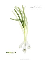 Root Vegetable V Framed Print