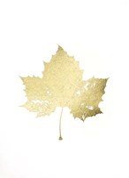 Gold Foil Leaf II Framed Print