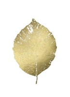 Gold Foil Leaf III Framed Print