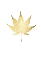 Gold Foil Leaf IV Framed Print