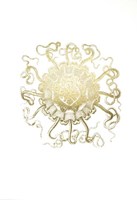 Gold Foil Ocean Gems II Framed Print