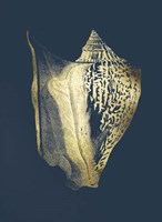 Gold Foil Shell III on Cobalt Framed Print