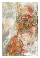 Coral Lace II Fine Art Print