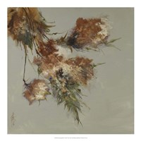 Rusty Spring Blossoms III Fine Art Print