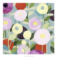 Poppy Strata I Fine Art Print