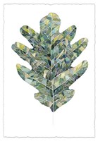 Verdant Details III Fine Art Print