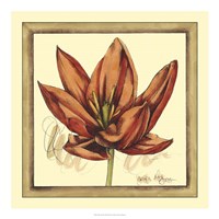 Tulip Study II Fine Art Print