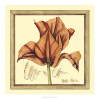 Tulip Study IV Framed Print