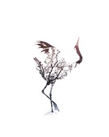 Red Crowned Crane Pair, Part I Inverted Fine Art Print