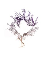 Red Crowned Crane Pair, Part II Fine Art Print