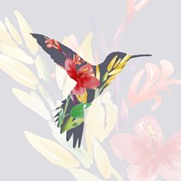 Grey Floral Hummingbird Fine Art Print