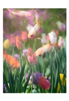 Tulip Swim A Fine Art Print