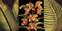 Orange Orchids and Palm Leaves Fine Art Print