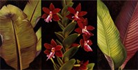 Red Orchids and Palm Leaves Fine Art Print