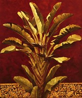 Traveler's Palm Fine Art Print