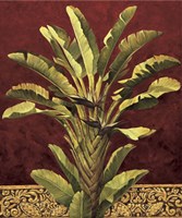 Traveler's Palm Fine Art Print