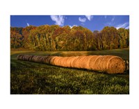 Hay Bales Fine Art Print