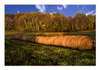 Hay Bales Fine Art Print