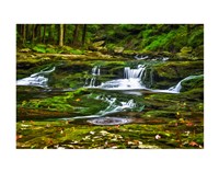 Sullivan's Run #1 Fine Art Print