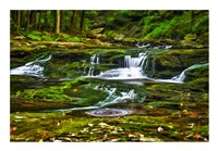 Sullivan's Run #1 Fine Art Print