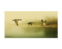 Ducks Flying Fine Art Print