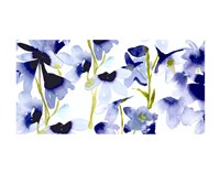 Harebelle Fine Art Print