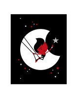 Star Catcher Fine Art Print