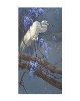 Egret in Wisteria Fine Art Print
