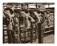 Bareback Saddles Fine Art Print