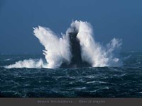 Dans la Tempete Fine Art Print