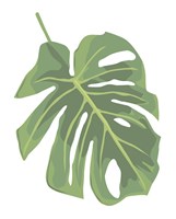 Philodendron 2 Fine Art Print