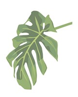 Philodendron 3 Fine Art Print