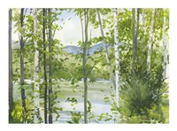 Summer Lake III Fine Art Print