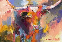 Steer Fine Art Print