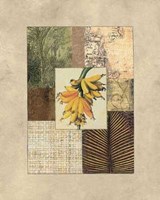 Colonial III Fine Art Print