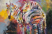 Zebras Fine Art Print