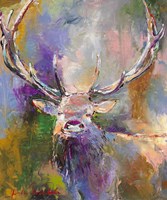 Buck Fine Art Print