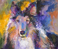 Collie Fine Art Print