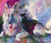 German Shepherd Fine Art Print