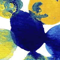 Yellow and Blue Abstract Flowing Paint Fine Art Print