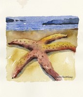 Basking Fine Art Print