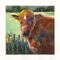 Brownie Fine Art Print