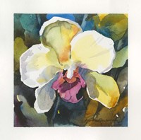 Elegance Fine Art Print