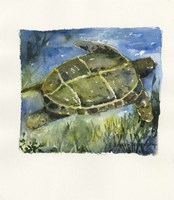 Gliding Fine Art Print